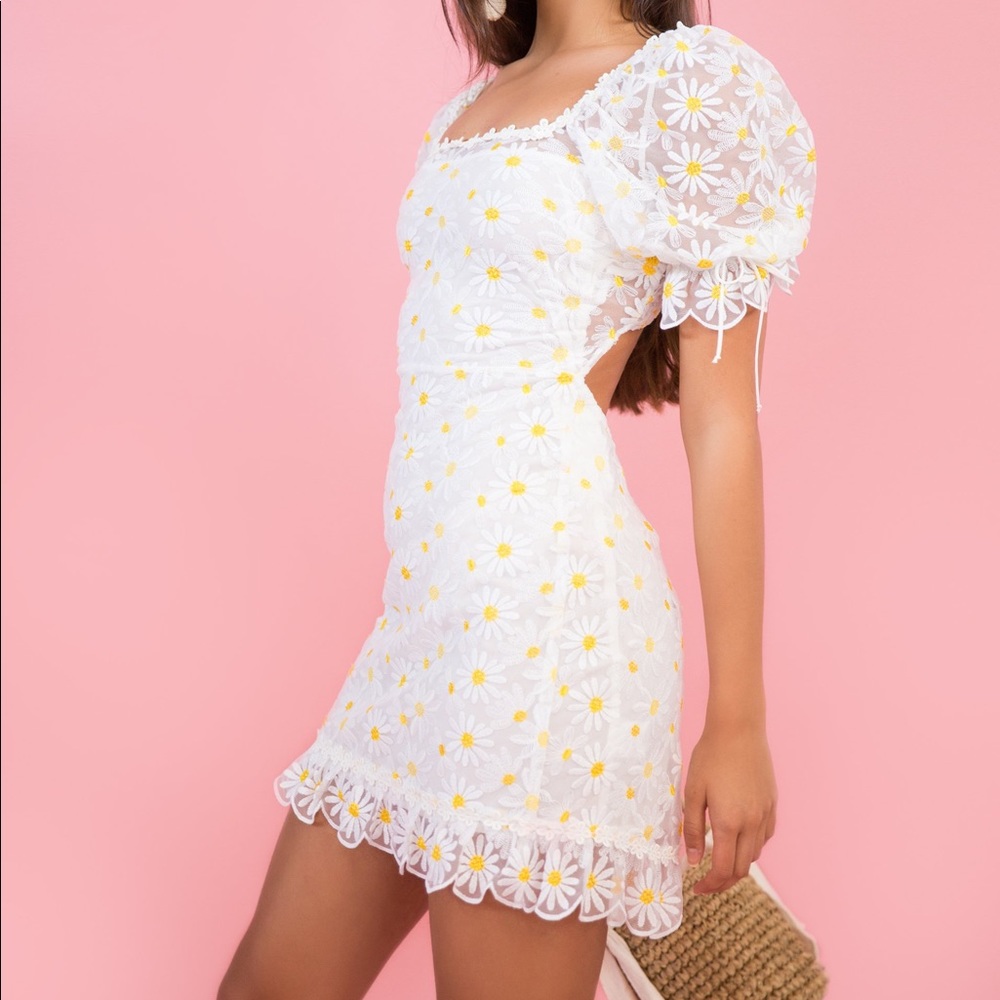 For love and Lemons daisy Brulee dress